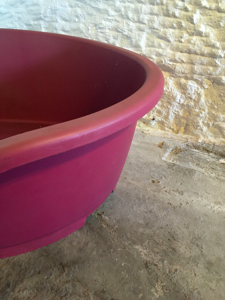 perla plastic dog beds